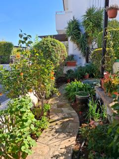 Soleil Residence - Charming 2BR Holiday House with Garden at Protaras - Konnos Area - 5