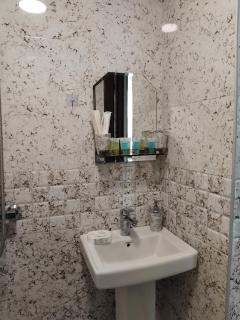 Cottage in Bakuriani - Bakuriani - 9