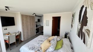 Departamento estudio frente a Playa Brava - 4