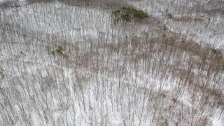 Deer Run Retreat Villa - 9