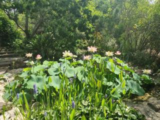 דירה בעמק - 8