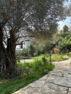 דירה בעמק - 1