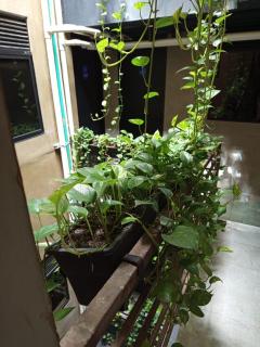 hotel civitas medellin - 8