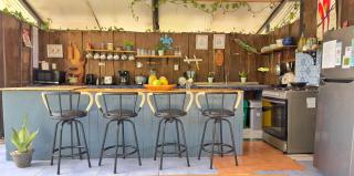 Rooms & Pool Macaws - 6