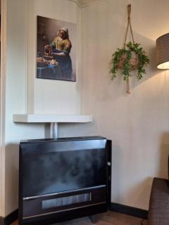 Beukenboom 2, genieten op de Veluwe van de rust en natuur - 2