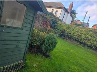 Cosy Garden apartment in Foxrock - 7