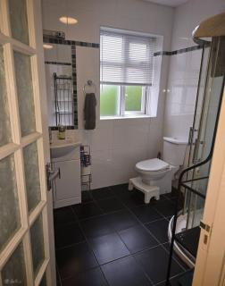 Cosy Garden apartment in Foxrock - 6