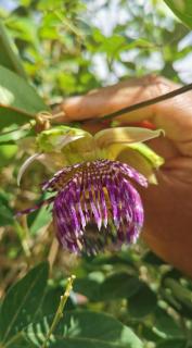 Cozy room 2 minutes from the beach - 3