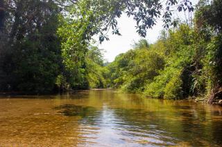 El Templo- Jungle Mirador - 2