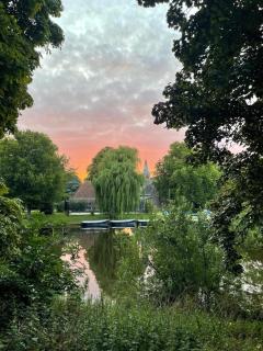 Prachtige monumentale bovenwoning, hartje haarlem - 5