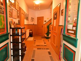 Apartment Wohnung in Hohegeiß mit Grill und Garten by Interhome - 9