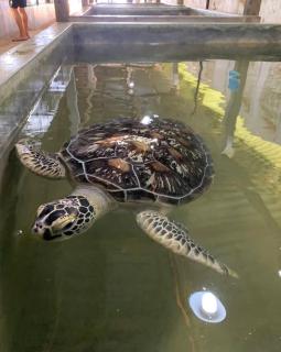 Moonlit Nook Mirissa - 4