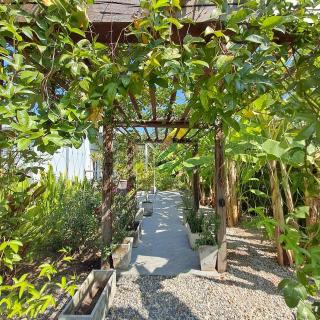 Up the Farm White House Talay Bua Daeng - 6