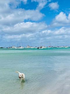 Stunning Panoramic Bay Views- Ocean View Villa 4 - 7