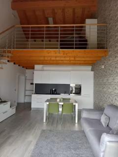 Luxury Lakeview Loft - 1