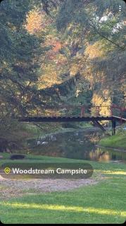 Woodstream Campsite - 2