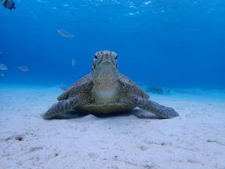 Guesthouse Iyonchi - 8