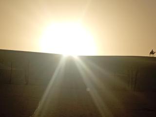 Etoile du Désert de Lompoul - 9