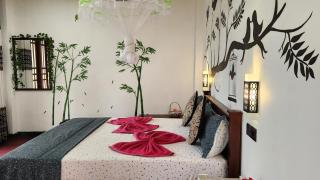 Elysium Homestay Ella - 8