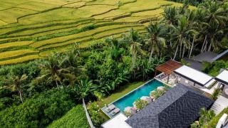 Villa Palmito by Optimum Bali Sanctuary with rice field views Ubud - 6