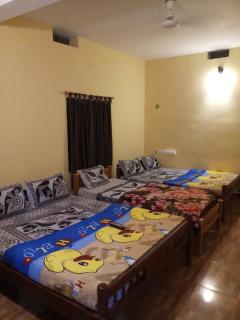 Jungle Mist Cottages - 7