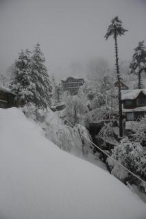 North star Manali - 2