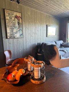 Modern and practical ski in & out apartment - 4