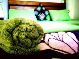 Rainforest River Bay - 5