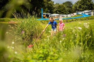 Vakantiepark de Witte Berg - 4