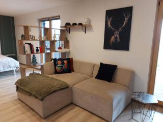 Le chalet de cathy - 5