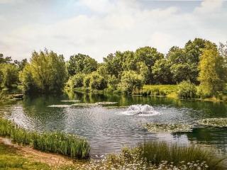 The Barn at Catley Cross House - 7