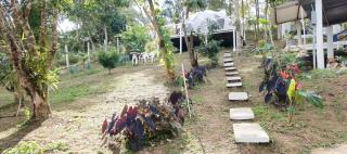 Glamping Eco Azulejo - 3