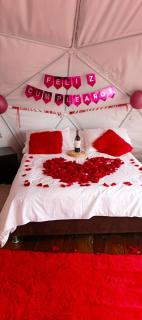 Glamping Eco Azulejo - 5