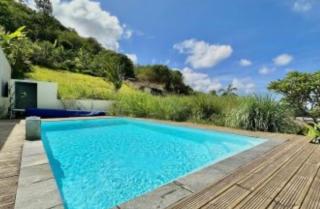 Le zèbre à carreaux - 0