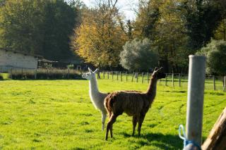 Gite Le Pré des Sylphes - 9