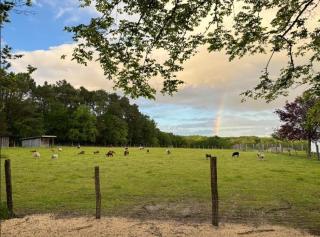 Gite Le Pré des Sylphes - 7