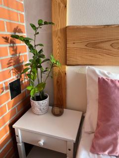 LiisuPesa Apartment with Sauna and Garden - 1