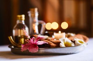 Lakshmi Ayurveda & Yoga Retreat - 1