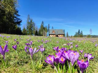 Szałas na szlaku - 7