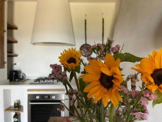 Historic Farmhouse In The Umbrian Hills - 5