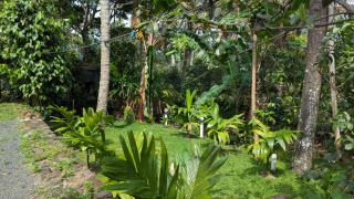 Highwalton Estate Bungalow - 4