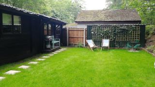 Forest Cabin Retreat-Sleeps 2-Garden Wifi Trails - 7
