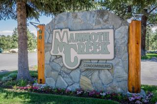 Mammoth Creek Unit 15 - 2