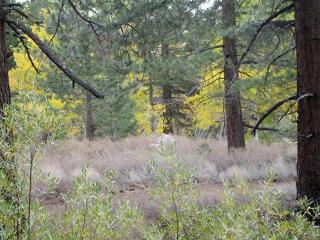 Mammoth Creek Unit 01 - 3