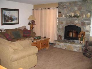 Mammoth Creek Unit 33 - 9