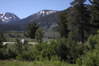 Mammoth Creek Unit 33 - 4