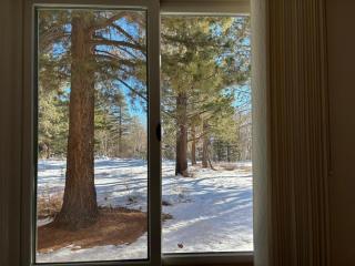Mammoth Creek Unit 07 - 1