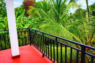 Wilpattu Gagana guest - 4