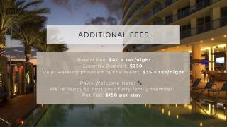 Luxury Oceanview Condo at Lyfe Resort - STEPS TO THE OCEAN, HOT TUB AND ROOFTOP POOL - 8