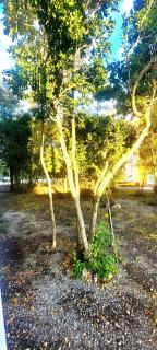 Refugio en Pucón, Lago, nieve, Termas y Relajo - 6